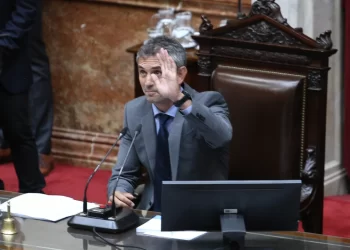 Martín Menem Minimiza Incidente en el Congreso y Defiende Reforma Penal
