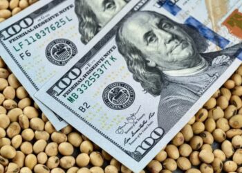 El campo aportaría US$30.800 millones en 2025, con menor producción y exportaciones estables