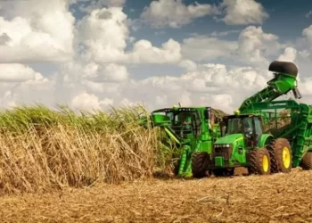 Tucumán fue sede de un encuentro nacional para proyectar la zafra azucarera 2025