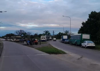 Paro de transportistas de cosecheros de limón: reclaman mejoras en las tarifas