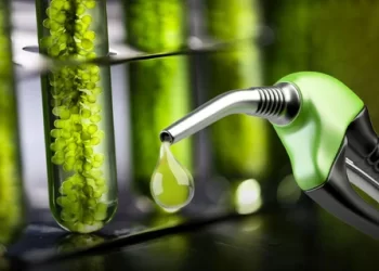 Autorizan un incremento en el precio de los biocombustibles para mayo