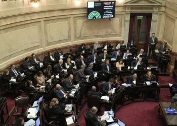 El Senado de la Nación rechazó la ley “Ficha Limpia” por un voto