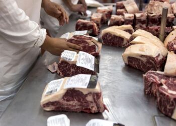 Abren la inscripción para exportar carne a Europa bajo la Cuota Hilton 2025/2026