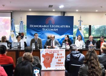 Impulsan una ley integral para personas con TDAH en Tucumán