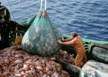 Crisis laboral: más de 115.000 empleos privados perdidos desde la asunción de Javier Milei