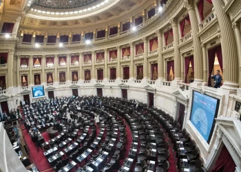 Diputados aprobaron la Emergencia en Discapacidad: actualización de pensiones y reclamos al Ejecutivo
