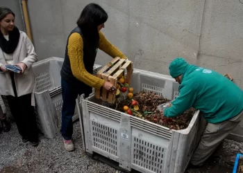 El Mercado Dorrego se suma al compostaje para reducir residuos y cuidar el ambiente