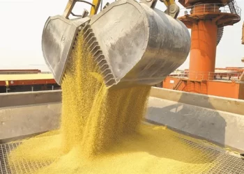 La harina de soja enfrenta precios mínimos históricos pese al aumento de siembra