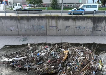 “La basura es un invento humano”: el llamado urgente a repensar nuestro vínculo con el plástico