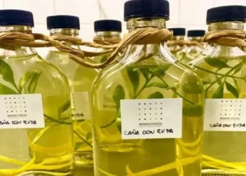 Caña con ruda: tradición ancestral que puede ser riesgosa para la salud, advierten especialistas