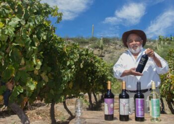 Tucumán potencia su Ruta del Vino de Altura con experiencias únicas y eventos especiales en invierno
