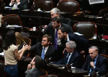 La oposición negocia una sesión clave antes de los vetos de Milei y apunta al financiamiento universitario y la emergencia en pediatría