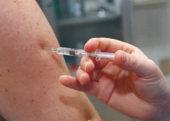 Detectan en Argentina la variante XFG del coronavirus, conocida como «Frankenstein»