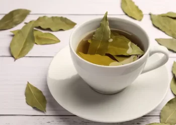 Té de laurel en ayunas: la infusión natural que favorece la digestión y fortalece el sistema inmune