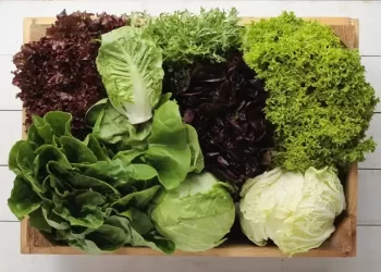 Los trucos de Paulina Cocina para conservar las verduras de hoja y que duren más tiempo