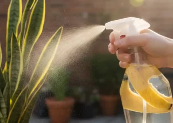 Vinagre y maicena: la combinación casera que limpia, desinfecta y da brillo al hogar