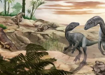 Descubren en La Rioja una nueva especie de dinosaurio de 230 millones de años: el Huayracursor jaguensis