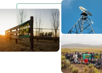 El campo espera por el plan Milei: la siembra será menor en 2026 y «no es buen momento para invertir»